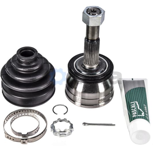 G11013PC Pascal ШРУС для Nissan Sunny