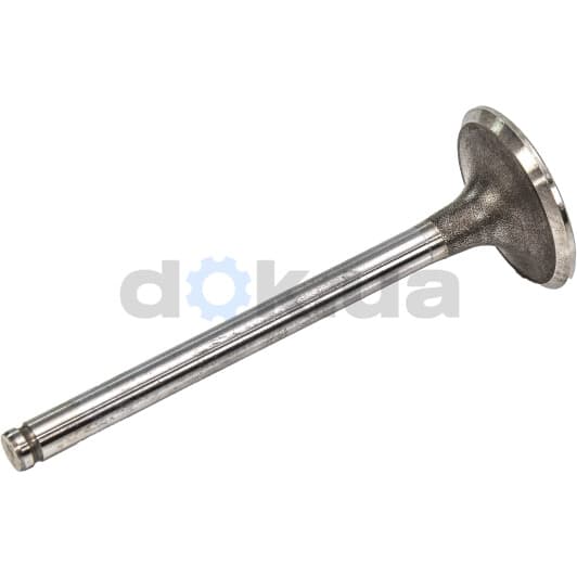 R4243/SCR Freccia Впускной клапан