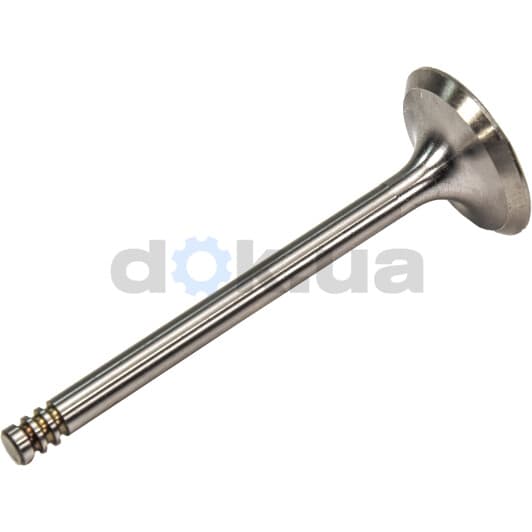 R4873/S Freccia Впускной клапан