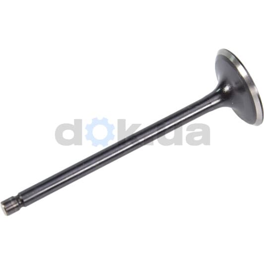 R6593/SNT Freccia Впускной клапан