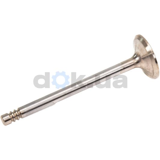 R4937/SCR Freccia Впускной клапан