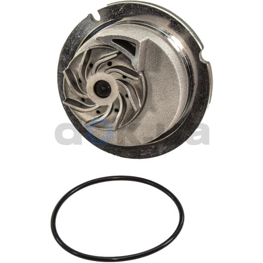 D1X029TT Thermotec Помпа