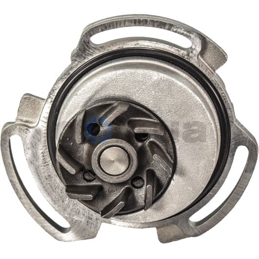 A164 Dolz Помпа