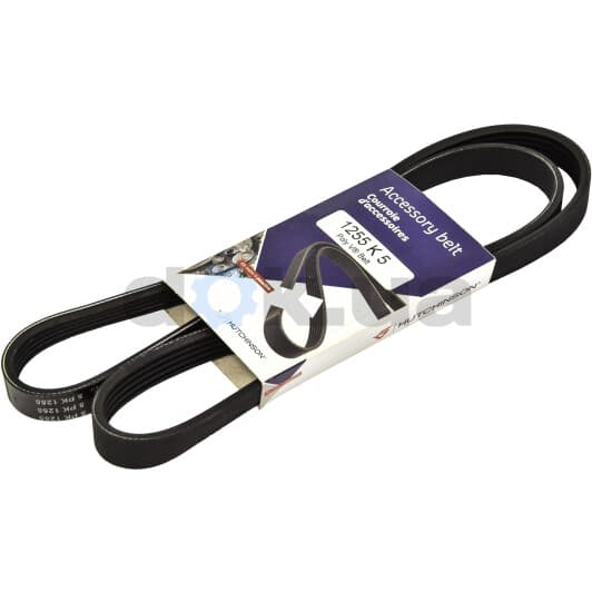 1255 K 5 Hutchinson Поликлиновой ремень
