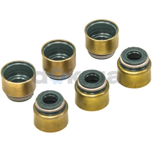 70-52939-00 Reinz Сальник клапана