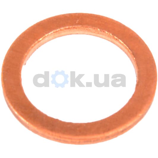 41-70059-00 Reinz Ущільнювальне кільце зливної пробки