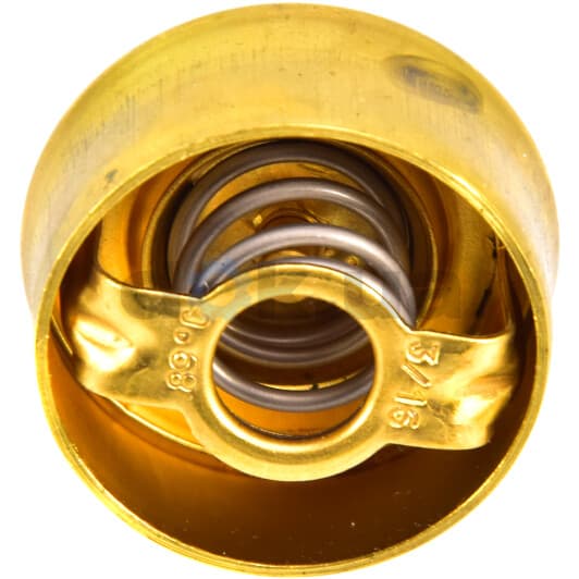 3029.89 Wahler Термостат