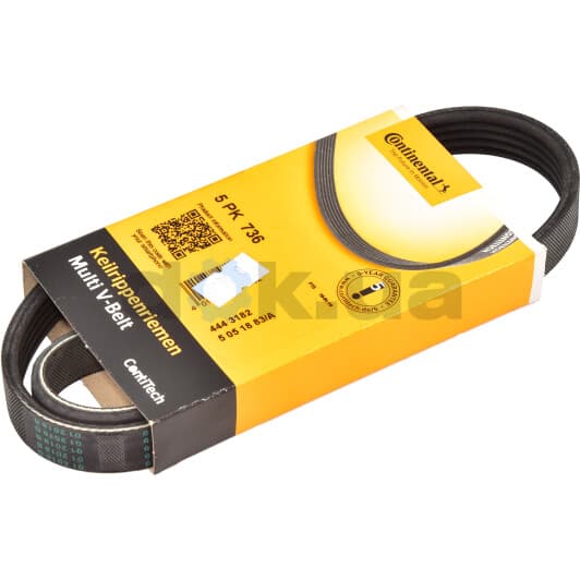 5PK736 Contitech Поліклиновий ремінь
