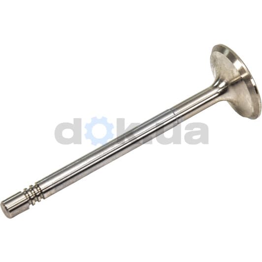 R4941/BMCR Freccia Впускной клапан