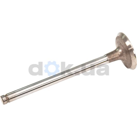 R3698/SCR Freccia Впускний клапан