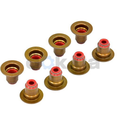 12-35548-01 Reinz Комплект сальников клапанов