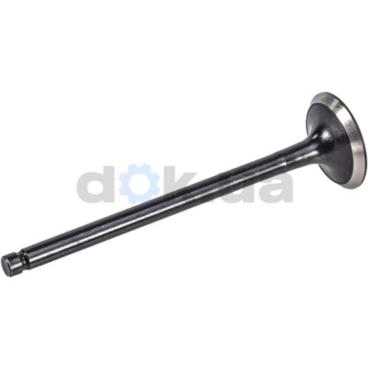 R6183/RNT Freccia Впускной клапан