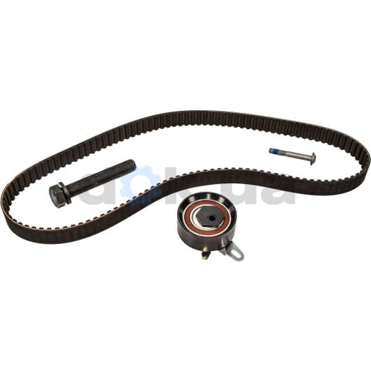 530 0173 10 INA Комплект ременя ГРМ