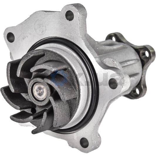 F131 Dolz Помпа