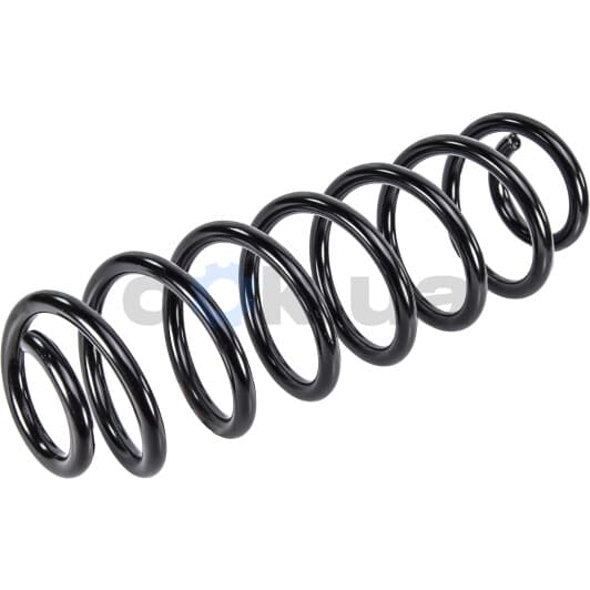 B12624 Borsehung Пружина підвіски