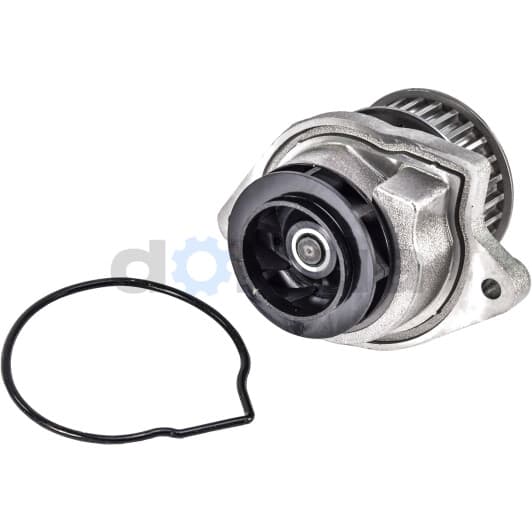 A191 Dolz Помпа