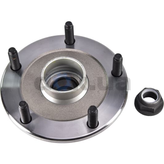 H2G042BTA BTA Ступица колеса для Ford Transit