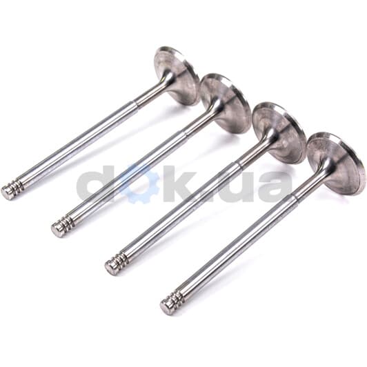 R6140/SCR Freccia Впускной клапан