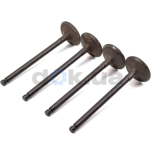 R6248/SNT Freccia Впускной клапан