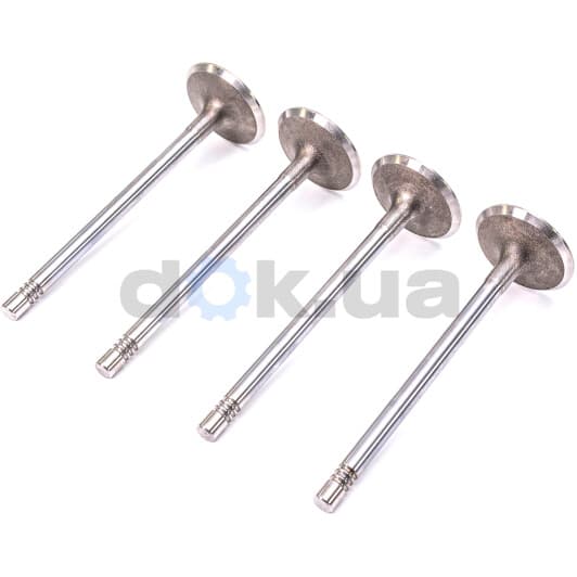 R3615/SCR Freccia Впускной клапан