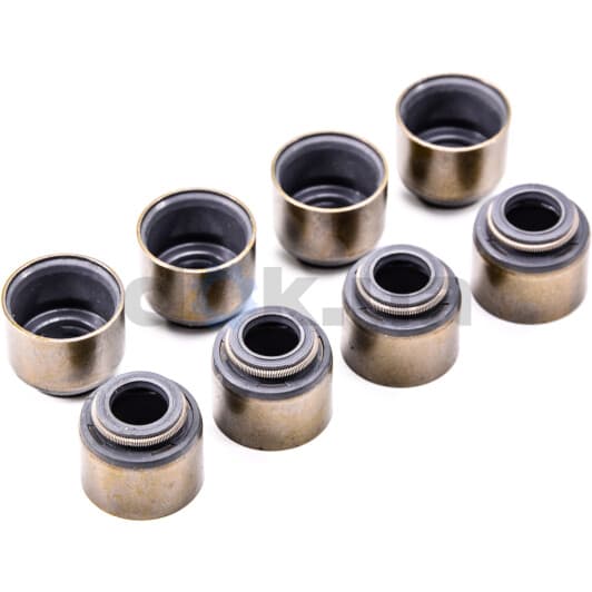 12-52906-01 Reinz Комплект сальников клапанов