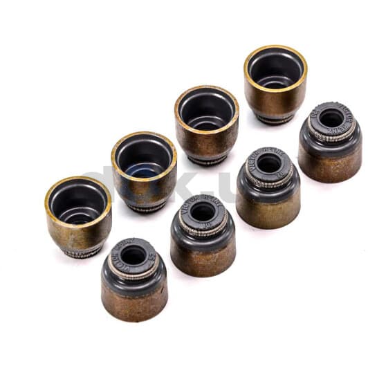 70-40616-00 Reinz Сальник клапана