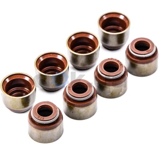 PA079 Payen Сальник клапана