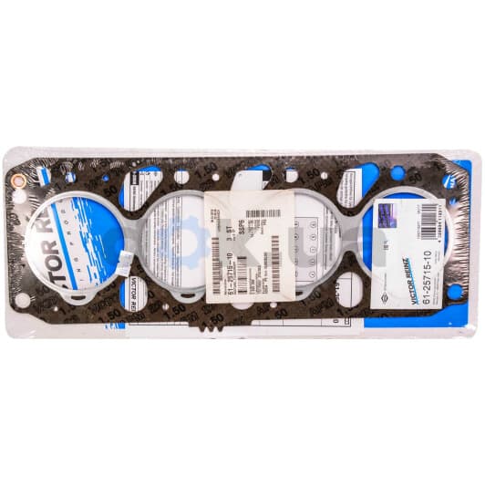 61-25715-10 Reinz Прокладка ГБЦ