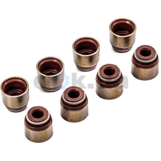 12-53036-01 Reinz Комплект сальников клапанов