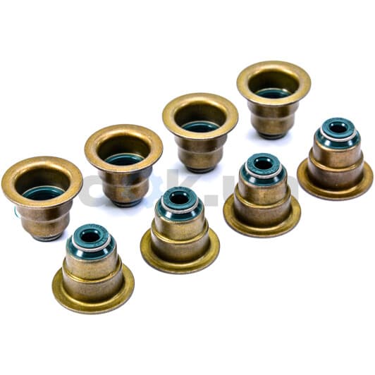 70-33032-00 Reinz Сальник клапана