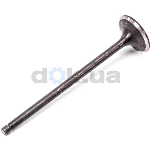 R4900/SNT Freccia Впускной клапан