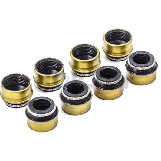 12-22737-01 Reinz Комплект сальників клапанів