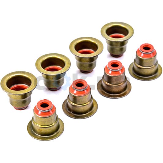 70-33037-00 Reinz Сальник клапана