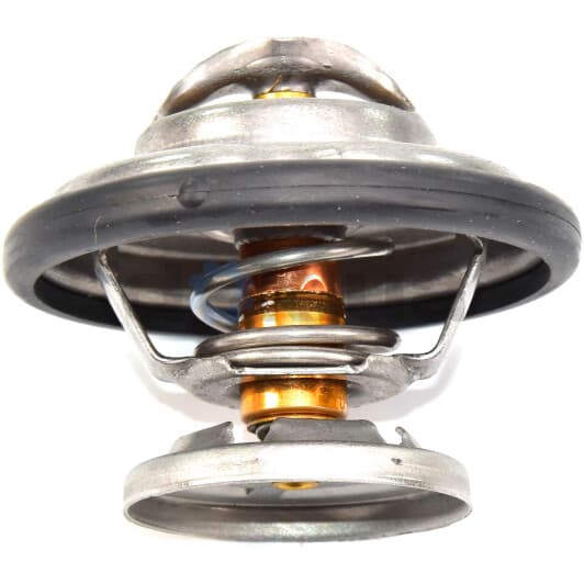 TH5699.85J Calorstat by Vernet Термостат