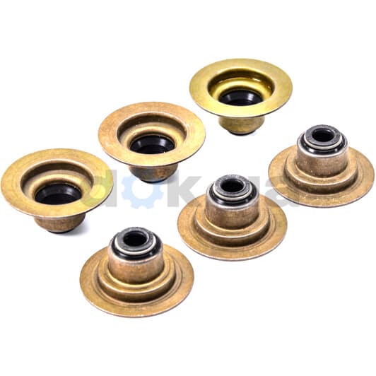 70-31056-00 Reinz Сальник клапана