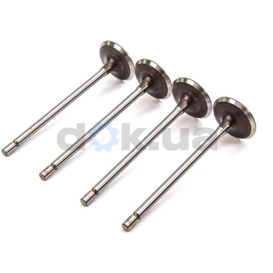 V94498 AE Впускной клапан