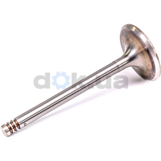 V157579 BGA Впускной клапан