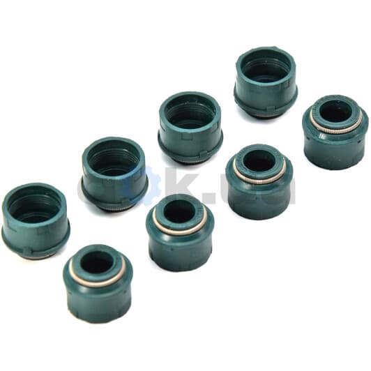 12-26267-01 Reinz Комплект сальников клапанов