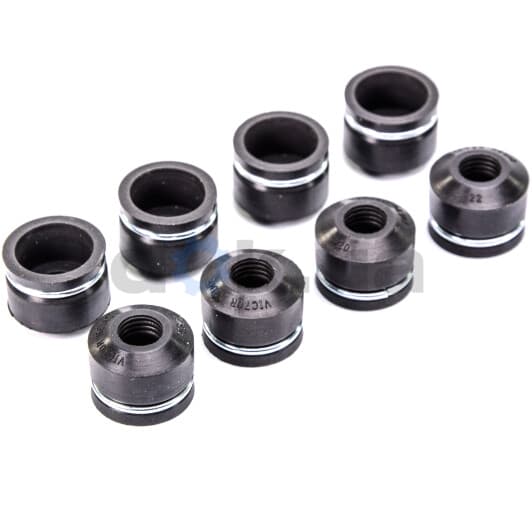 70-25184-00 Reinz Сальник клапана