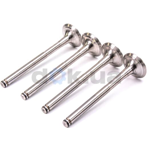 R4942/BM Freccia Випускний клапан