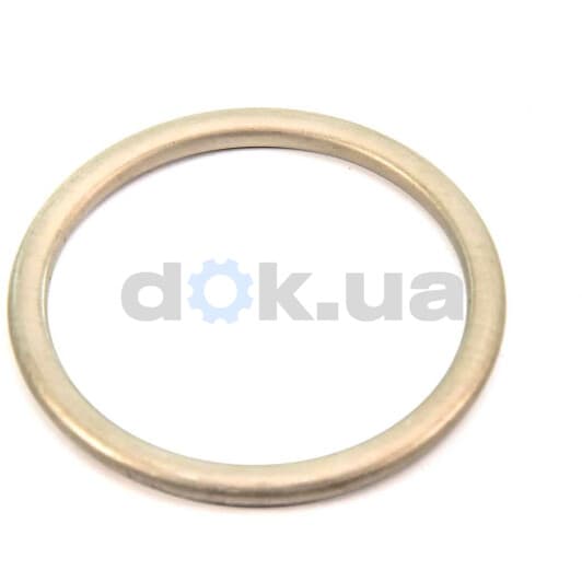 71-52303-00 Reinz Прокладка приймальної труби