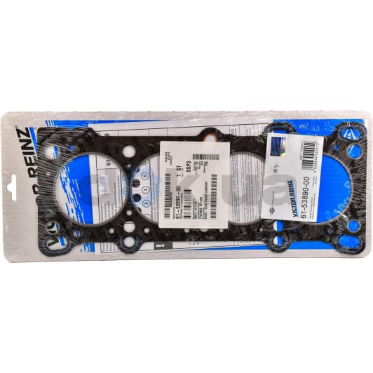 61-53890-00 Reinz Прокладка ГБЦ