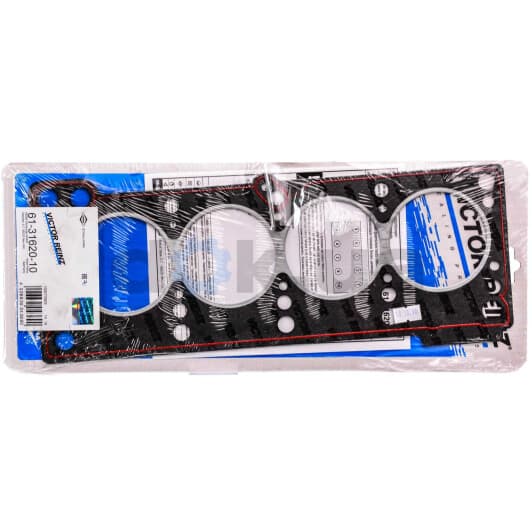 61-31620-10 Reinz Прокладка ГБЦ