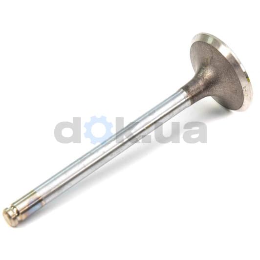 R4883/RCR Freccia Впускний клапан