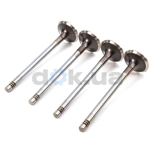 R6207/BMCR Freccia Выпускной клапан