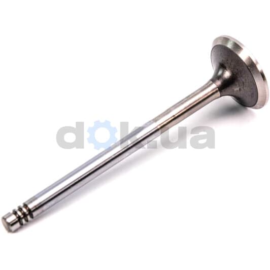 R6003/BMCR Freccia Выпускной клапан