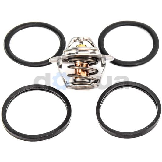 TH5108.89J Calorstat by Vernet Термостат