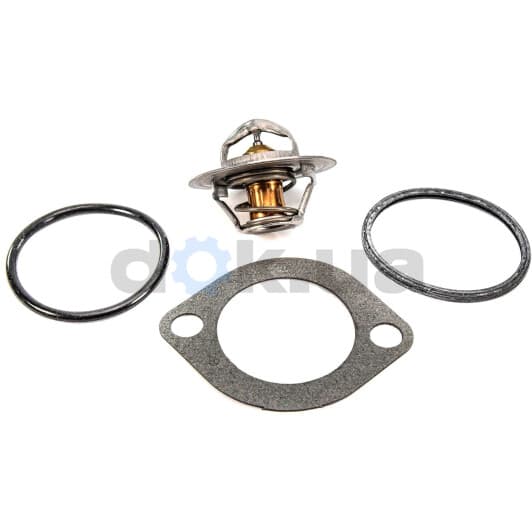 TH00182G1 Gates Термостат