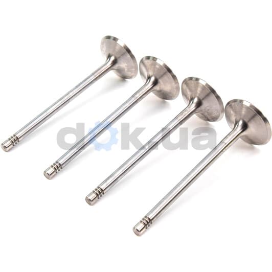 R6580/SCR Freccia Впускний клапан