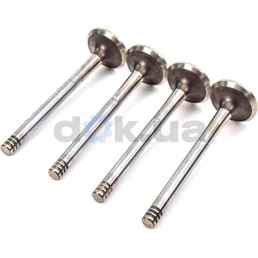 R4200/BMCR Freccia Випускний клапан